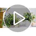 Mr.Bom Mini Potted Artificial Plants Fake Desk Plants Fake Small Eucalyptus Greenery Plastic Faux Plants in Pots Artificial Plants indoor Decoration (set of 3)