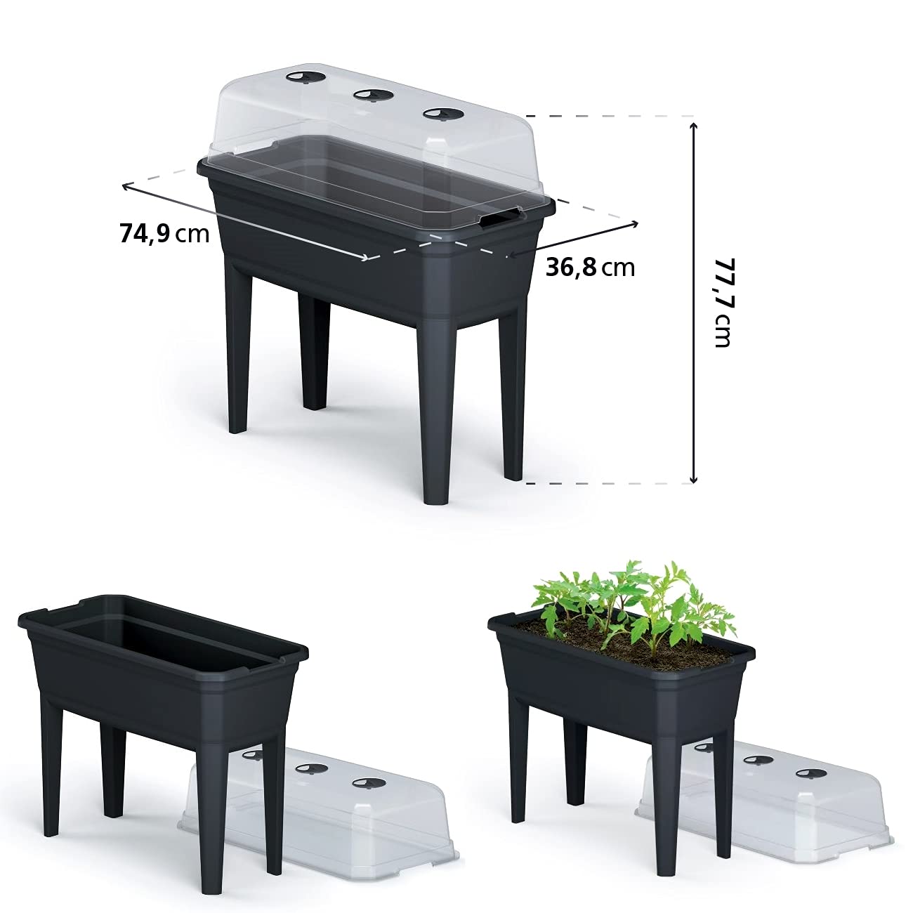 PROSPERPLAST ZA1389 Tall Planter with Cover Respana Ecoline Plastic Anthracite 74.9 (L) x 36.8 (W) x 77.7 (H) cm