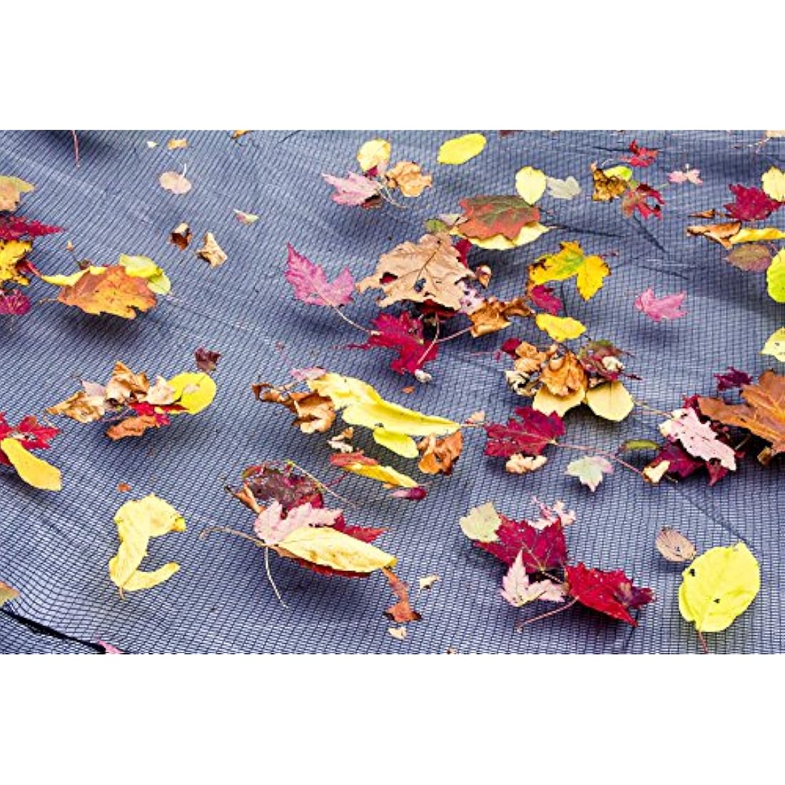 Robelle 4424 Standard Leaf Net for Round Above Ground Swimming Pool Covers, 24-ft. Round Pool
