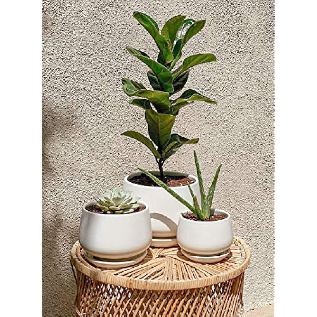LE TAUCI Plant Pots, 10+13+16 cm Planters, Set of 3 Ceramic Planters with Drainage Hole and Saucer, Indoor Plant Pot with Hole Mesh Pad, Gifts for Mom, White
