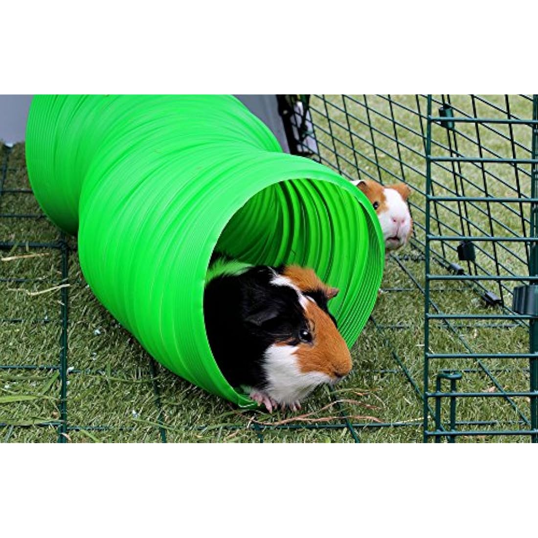 Snugglesafe All Weather Flexible Bunny Warren Fun Tunnel, green (Package may vary)