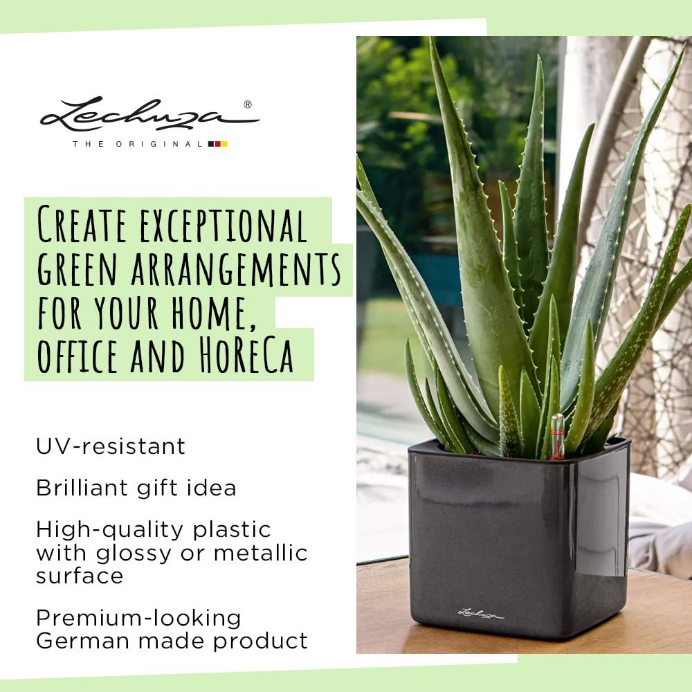 LECHUZA Self Watering Plant Pots Indoor CUBE Glossy 16 Small Plastic Planter without Drainage Hole H16 L16 W16 cm Red High-Gloss