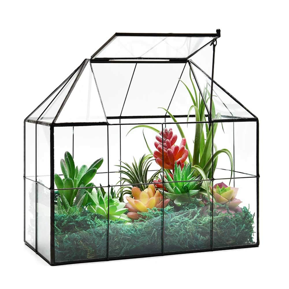 Large Glass Greenhouse Succulent Plant Terrarium with lid Geometric Tabletop