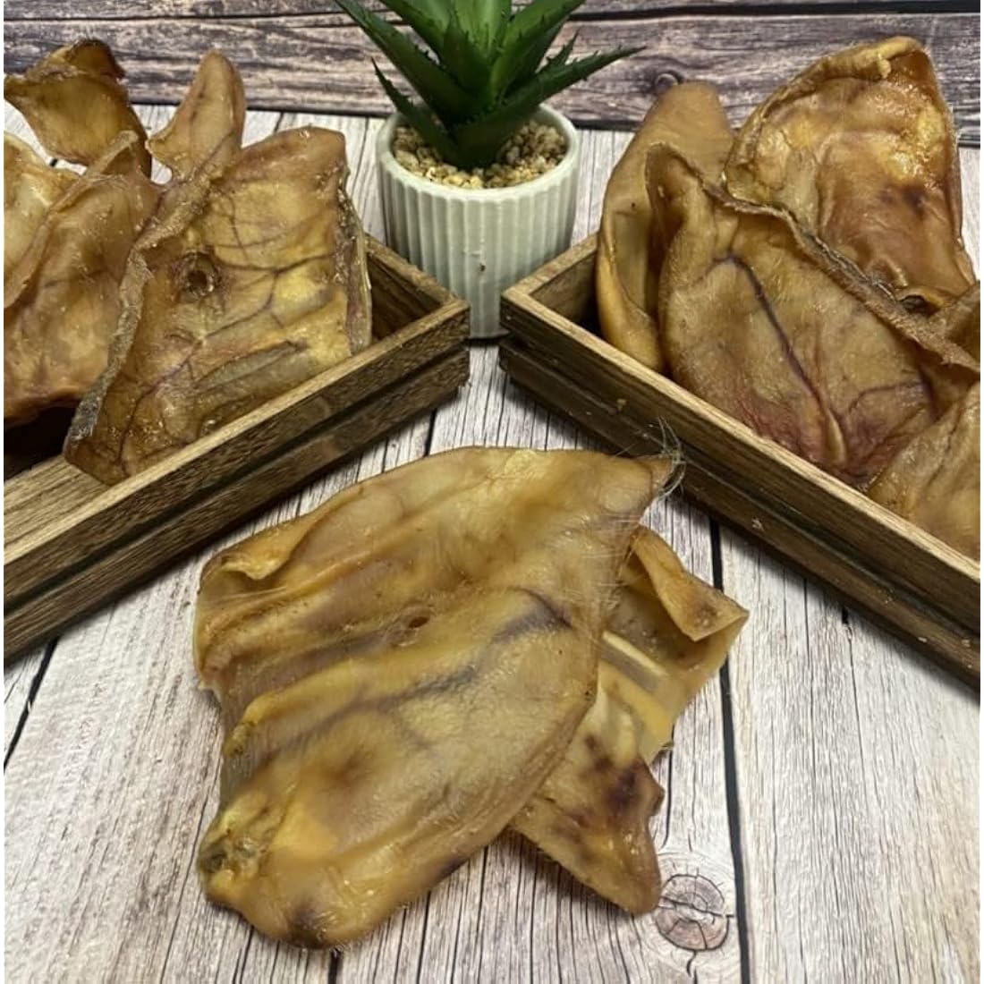 Premium Quality Large Pigs Ears (Pack of 10) Natural Dog Treats Chews PEC