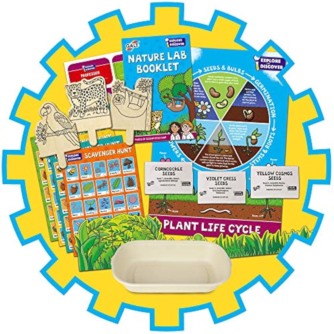 Galt Nature Lab-Explore and Discover Science Kit and Craft Kit-Science Experiments for Kids,Grow Plants,Create a Rainforest Scene and Go Scavenger Hunting-STEM Toys For Girls and Boys Age 5 Years Plus