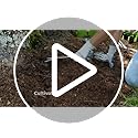 WORKPRO 8-Piece Garden Tools Set, Stainless Steel Hand Tools with Wooden Handle, Including Gloves, Trowel, Weeder, Hand fork, Hand Rake, Transplanter, Pruner and Garden Tote