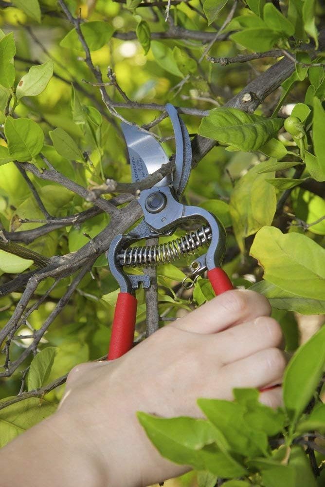 Corona BP 3180D ClassicCUT Forged Bypass Pruner, 1-Inch Cut, Red, 2.54 cm