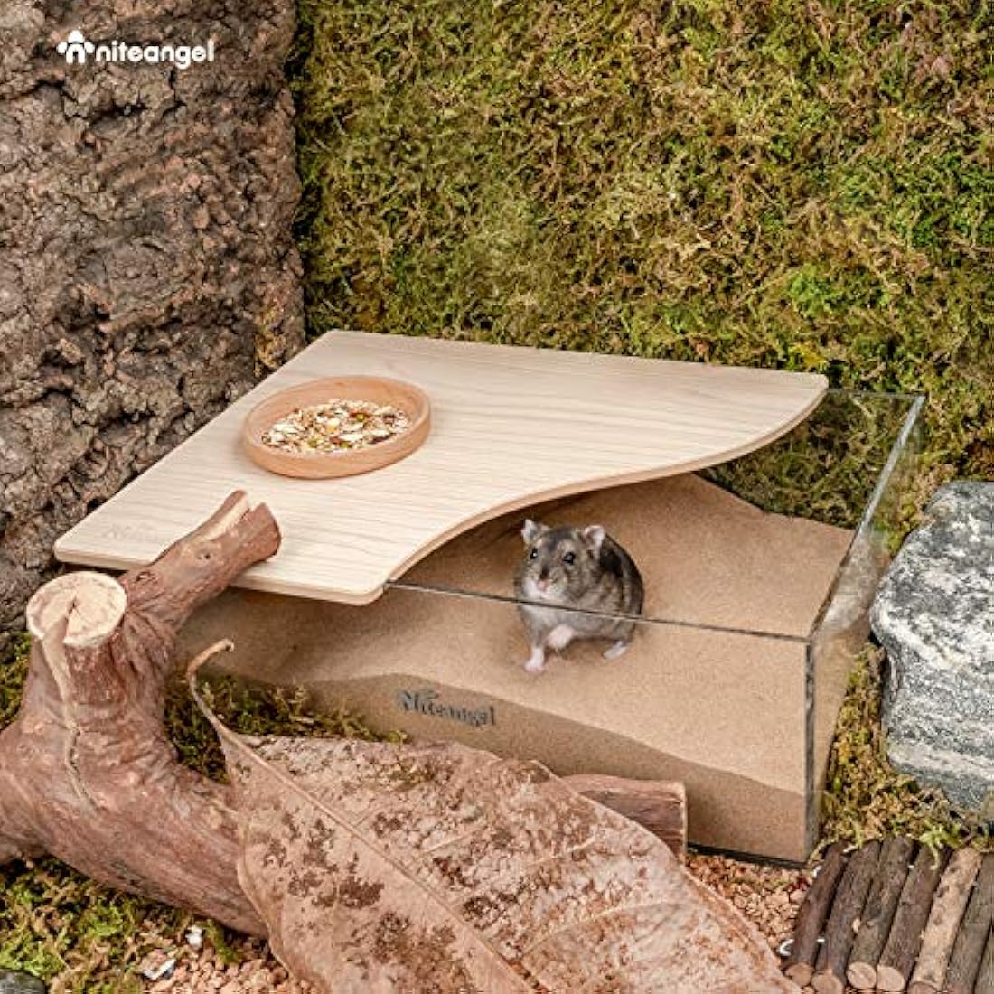 Niteangel Small Animal Sand-Bath Box - Acrylic Critter's Sand Bath Shower Room & Digging Sand Container for Hamsters Mice Lemming Gerbils or Other Small Pets