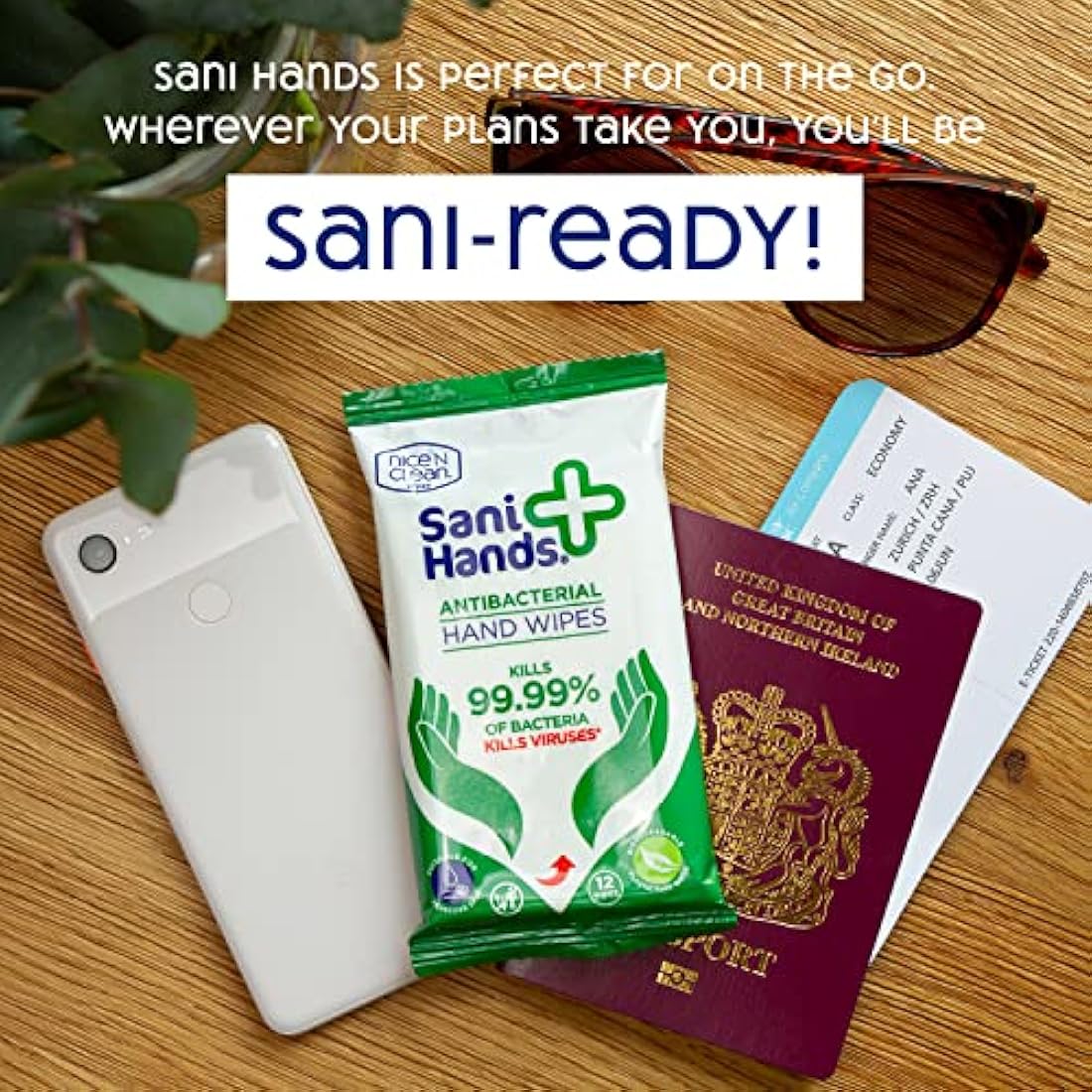 Sani Hands - Anti-bacterial Hand Wipes - Dermatologically Tested, Non-Sticky Biodegradable Wet Wipes - 12x40 Wipes (480 Wipes)
