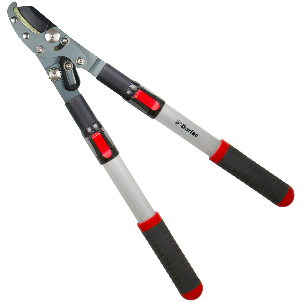 Darlac Telescopic Anvil Garden Loppers ? Lightweight Action Loppers with Extendable Handles Ideal for Pruning Hard or Dead Wood - SK5 High Carbon