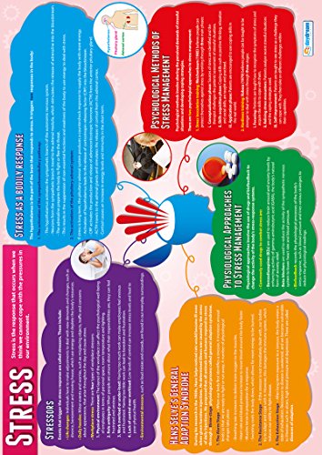 Psychology in Action Posters - Set of 6 | Psychology Posters | Gloss Paper measuring 850mm x 594mm (A1) | Psychology Charts for the Classroom | Education Charts by Daydream Education