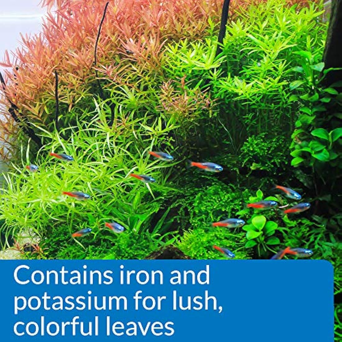API LEAF ZONE Freshwater Aquarium Plant Fertilizer 237 ml Bottle