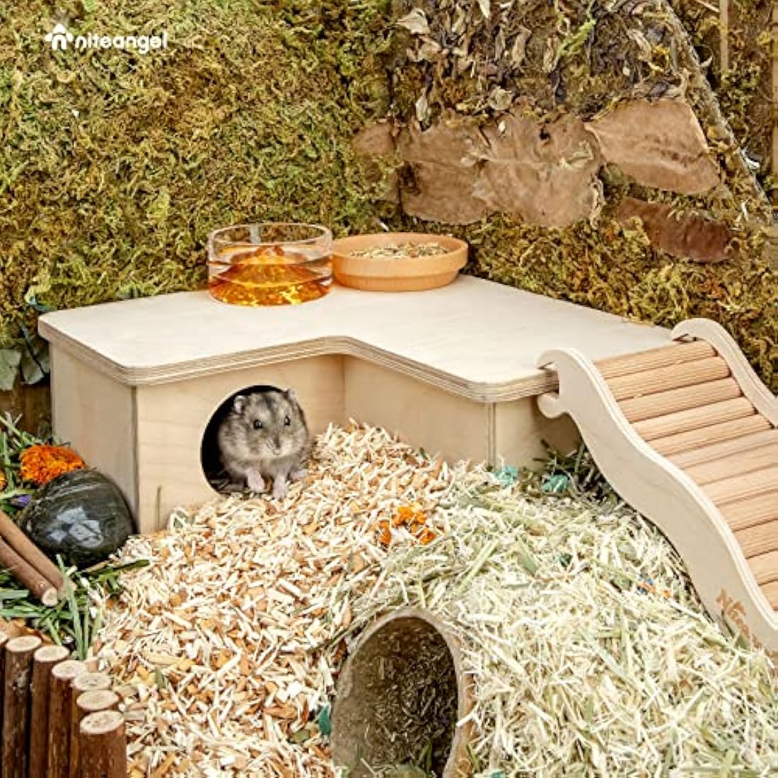 Niteangel Multi-Chamber Hamster House Maze - Multi-Room Hideouts & Tunnel Exploring Toys for Hamster Gerbils Mice Lemmings(3-Room small)