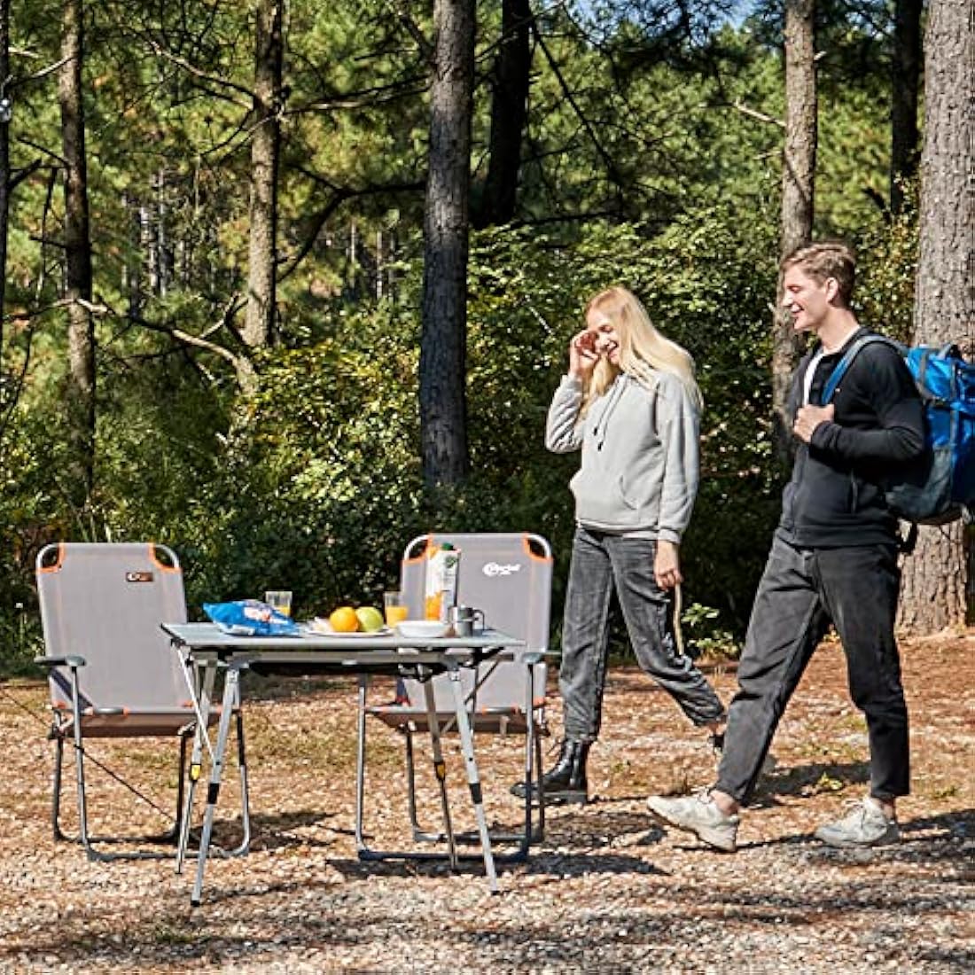 Portal Folding Chair Camping Garden Beach Fishing Outdoor Foldable Chair Lightweight Fold up Picnic Chair High Back Portable Chair Compact with Armrests