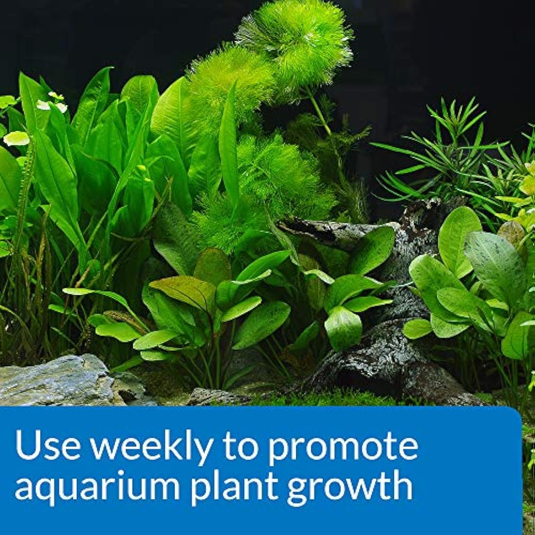 API LEAF ZONE Freshwater Aquarium Plant Fertilizer 473 ml Bottle