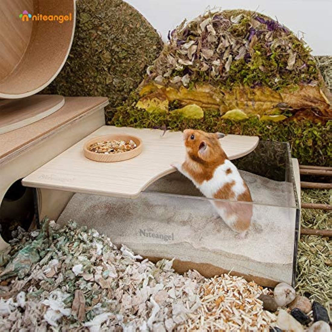Niteangel Small Animal Sand-Bath Box - Acrylic Critter's Sand Bath Shower Room & Digging Sand Container for Hamsters Mice Lemming Gerbils or Other Small Pets