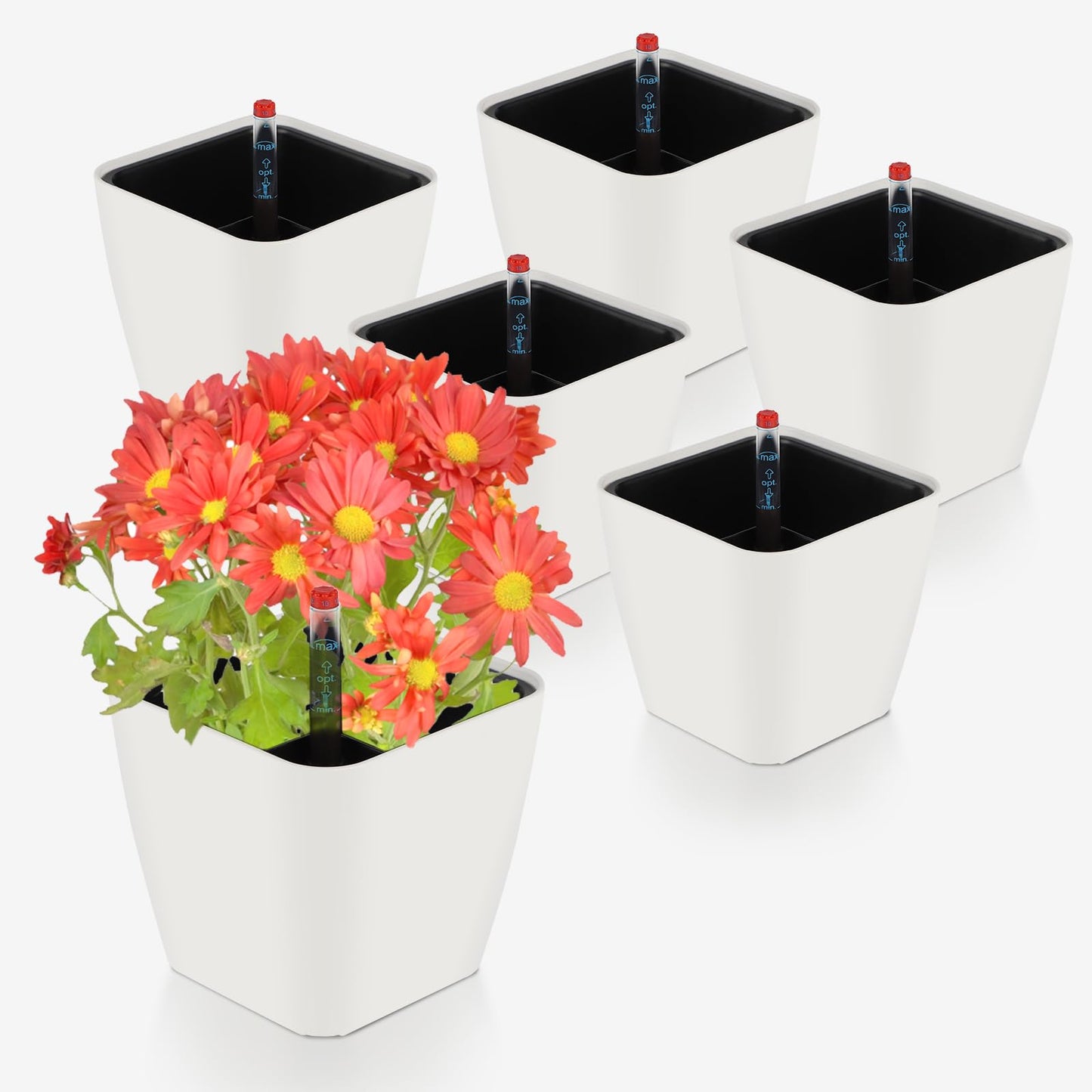 CPROSP 6 x Self-Watering Pot with Water Level Indicator, Herb Pot Self-Watering 13.7 x 13.5 cm, Flower Pot Water Storage with Pot-in-Pot System,
