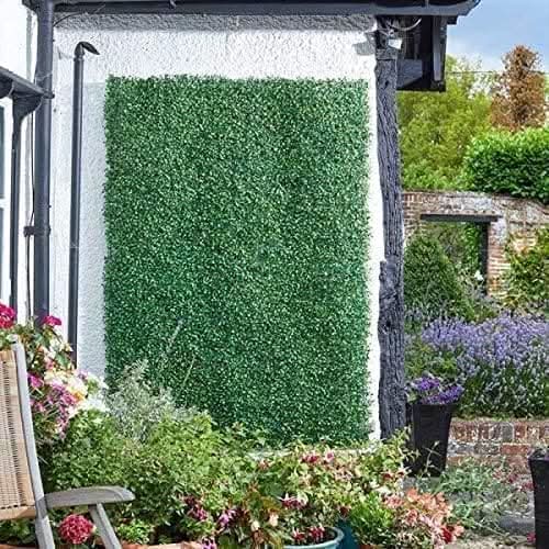 Boxwood Screening Panel 60 x 40cm
