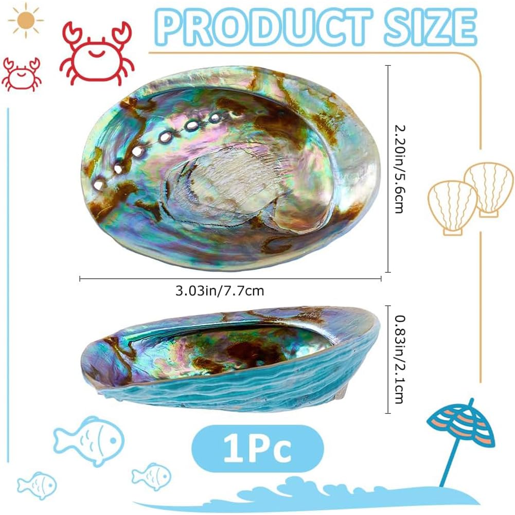 SUPERFINDINGS Natural Abalone Shells Jewelry Dish Tray Blue Seashell Ring Holder 7.7x5.6cm/5.04x6.3in Decorative Trinket Dish Stand for Earring