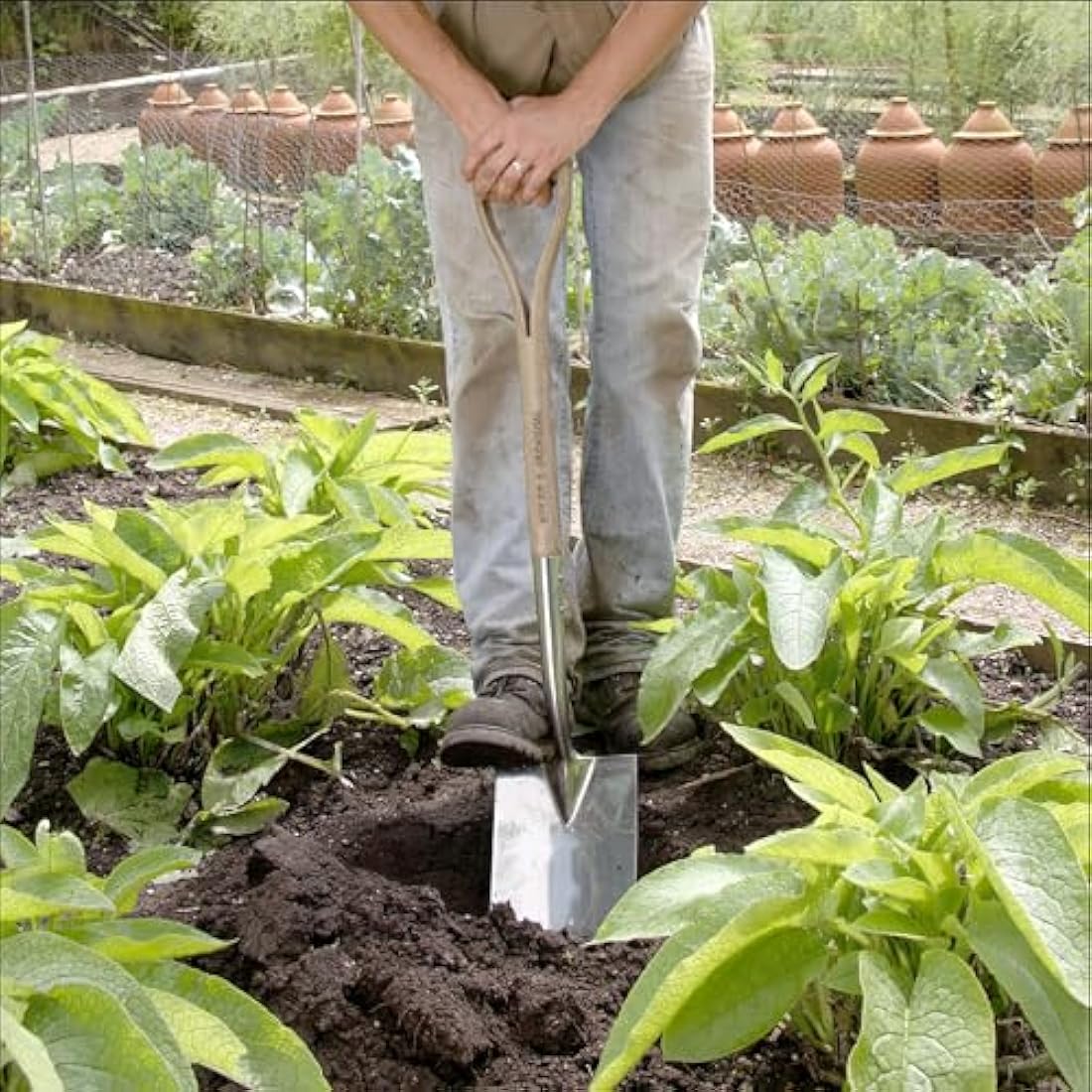 Spear & Jackson 4450DS Traditional Stainless Digging Spade