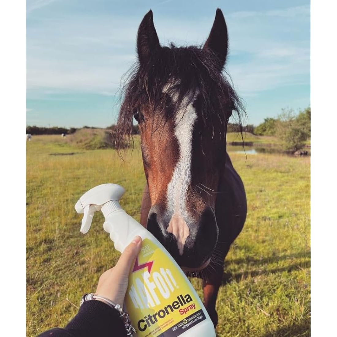 NAF Off Citronella Spray – 750ml Natural Summer Spray for Horses – Long-Lasting Summer Protection with Citronella Oil