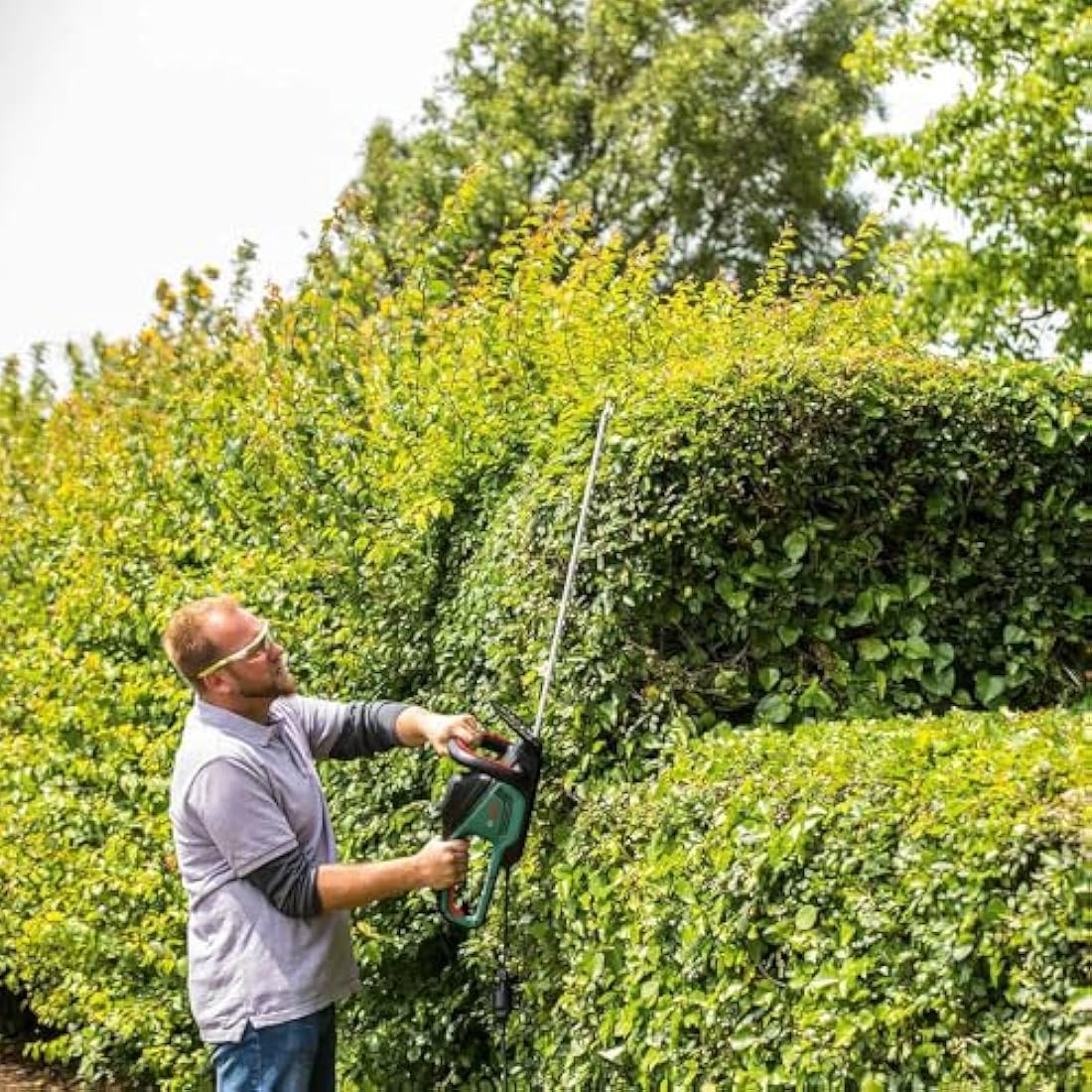 Bosch Trimmer AdvancedHedgeCut 65 (500 W, Blade Length: 65 cm, for Large Hedges, Tooth Opening: 34 mm, in Carton Packaging)