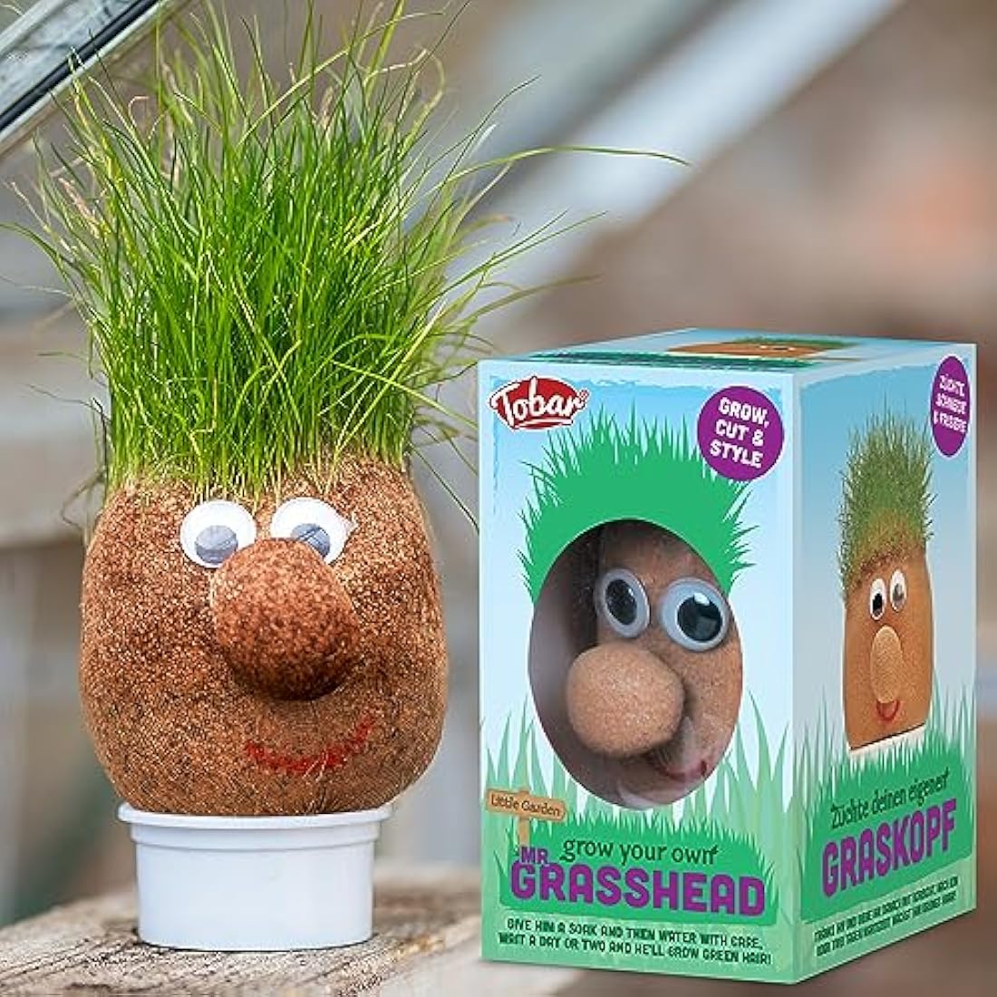 Tobar MR GRASSHEAD