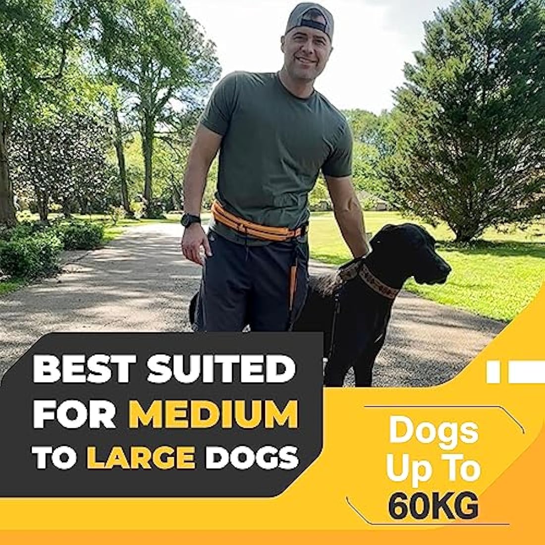 Barkswell Hands Free Dog Lead for 2 Dogs - Running Lead for Two Dogs/Dog Walking Belt for Multiple Dogs