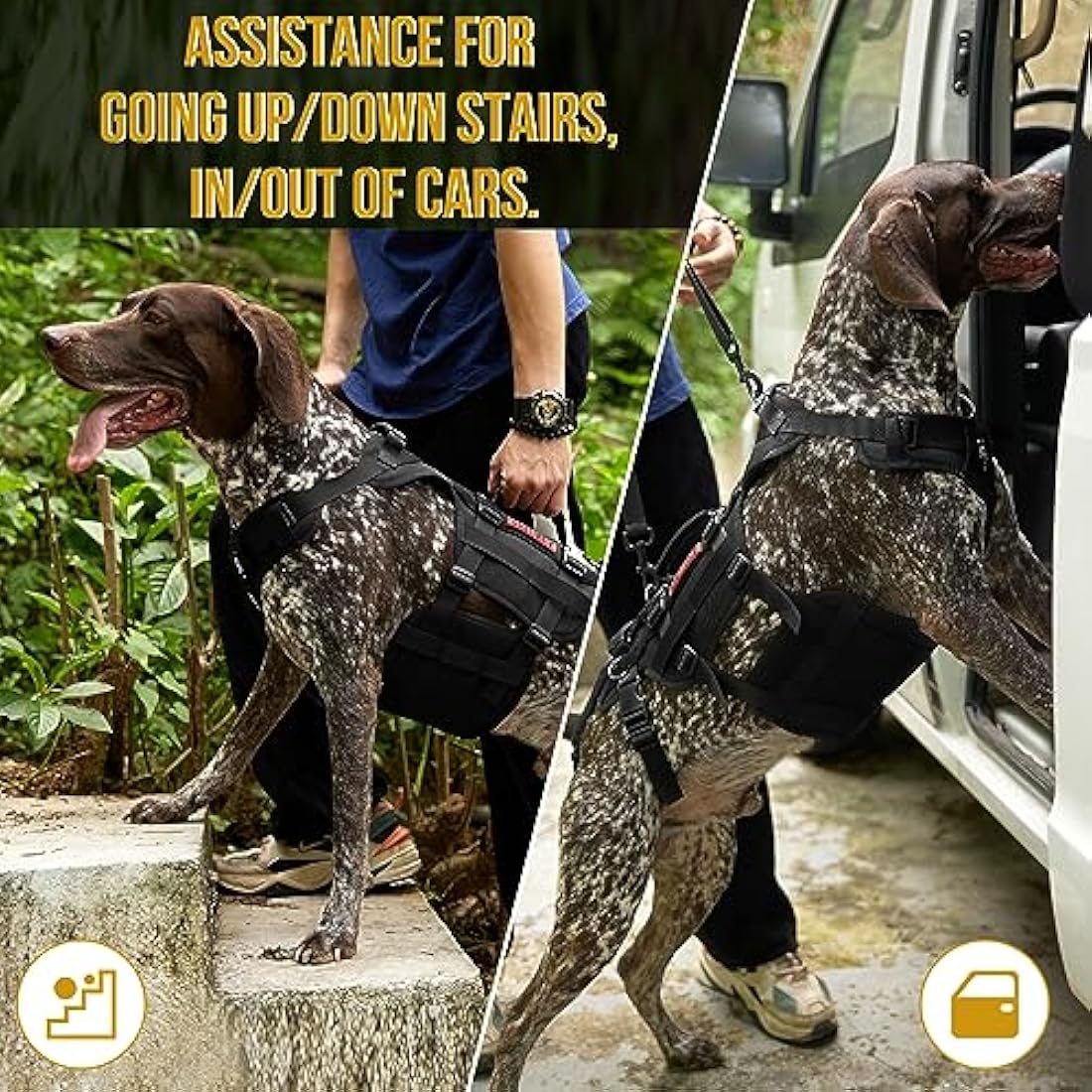 OneTigris Dog Lift Harness for Large Dogs, Dog Support Sling for Back Legs, DOG Lifter with Handles Invictus Multifunctional Mobility Assistance Vest Hip Support Brace