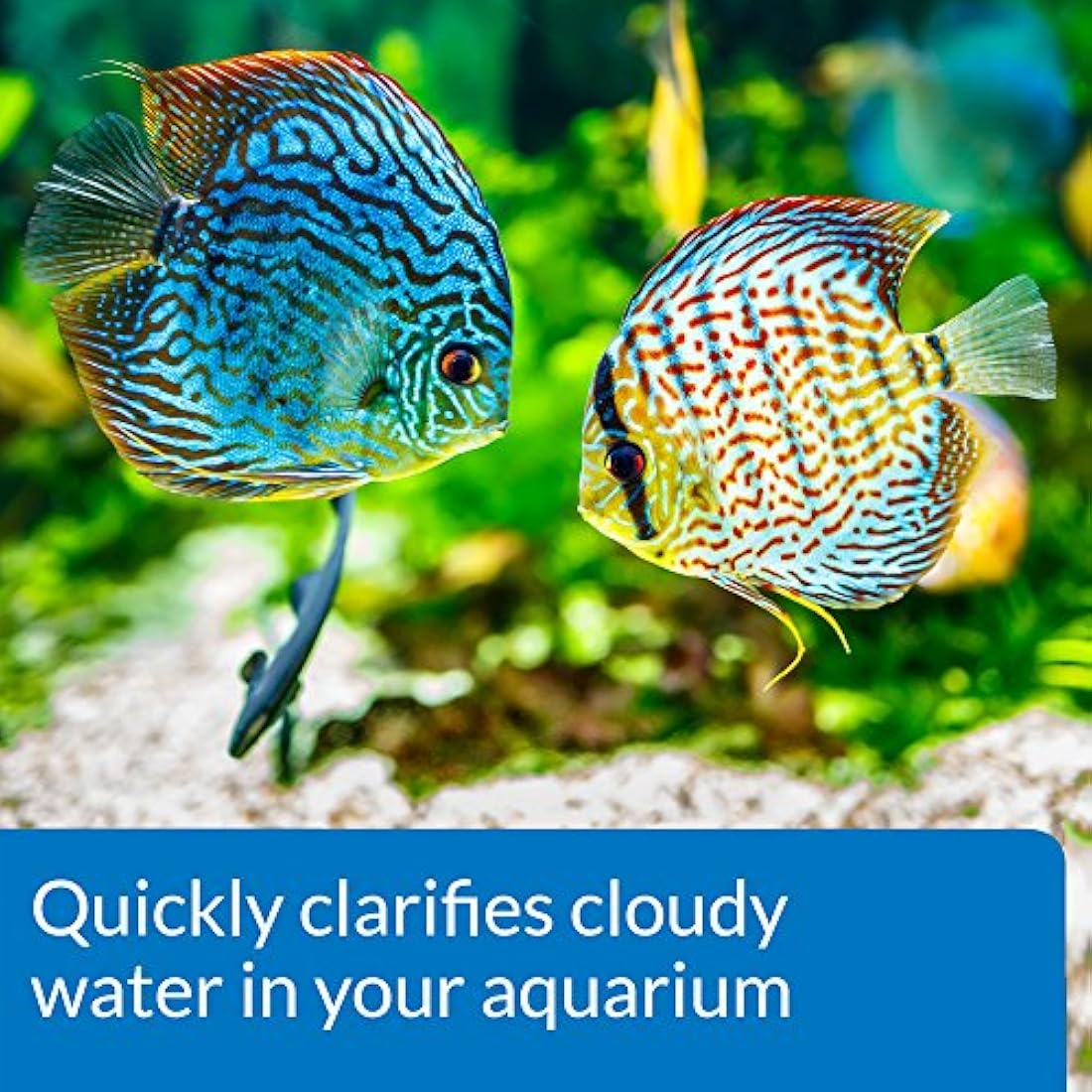 API ACCU-CLEAR Freshwater Aquarium Water Clarifier 37 ml Bottle