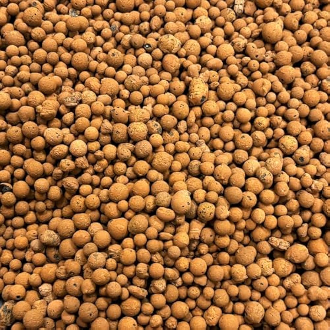 BHomeScent Clay Pebbles for hydroponics (1L)