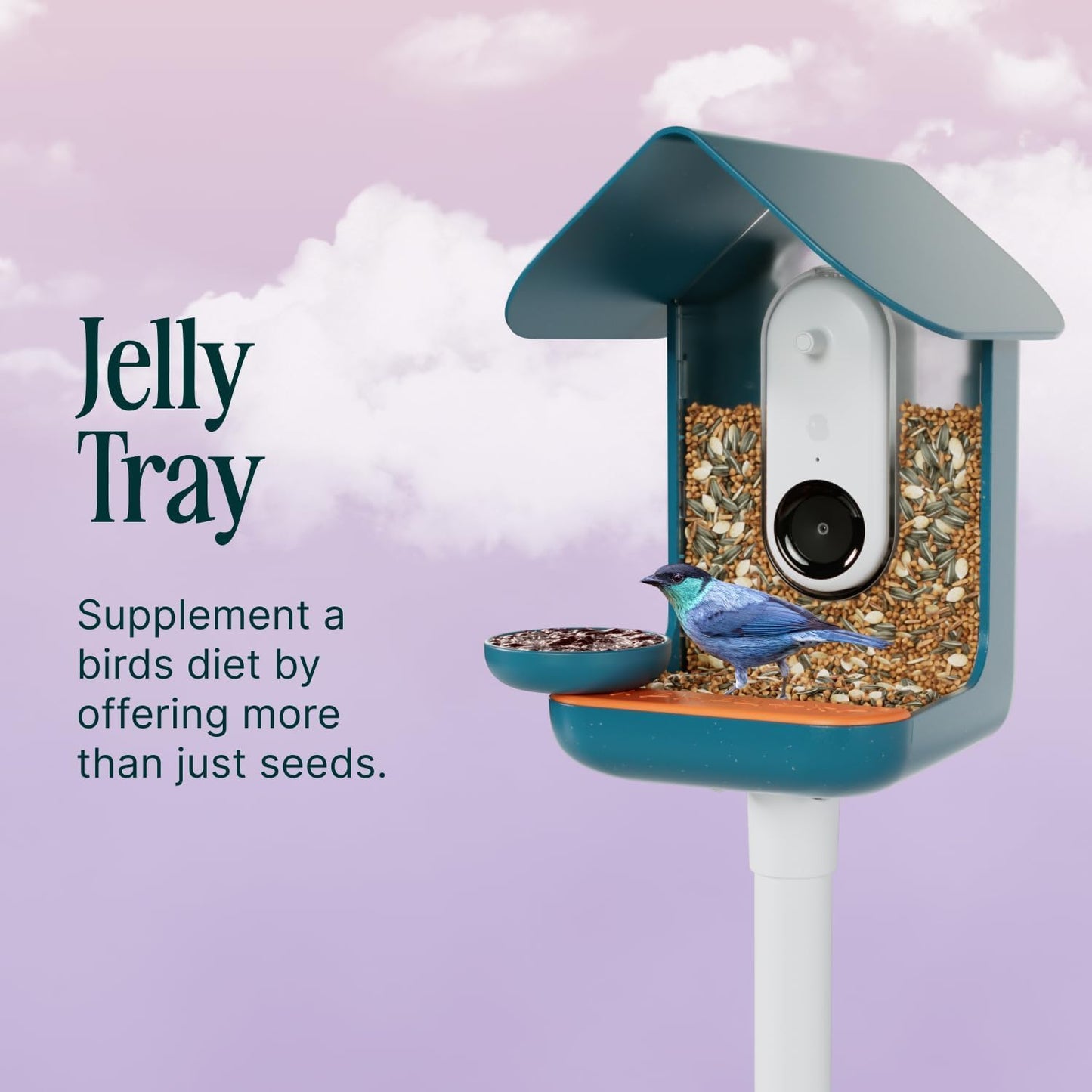 Bird Buddy 3-in-1 Nutrition Set - Outdoor Bird Accessories with Water Fountain, Fruit Spike & Jelly Tray Feeder - Durable, Easy Attachment for Bird