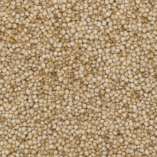 Wholefood Earth Organic Quinoa Grain – 3 kg | Raw | GMO Free | Vegan | High Fibre | Certified Organic