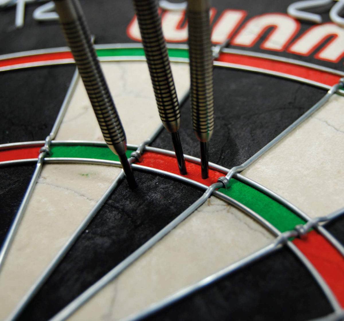 WINMAU Pro SFB Bristle Dartboard