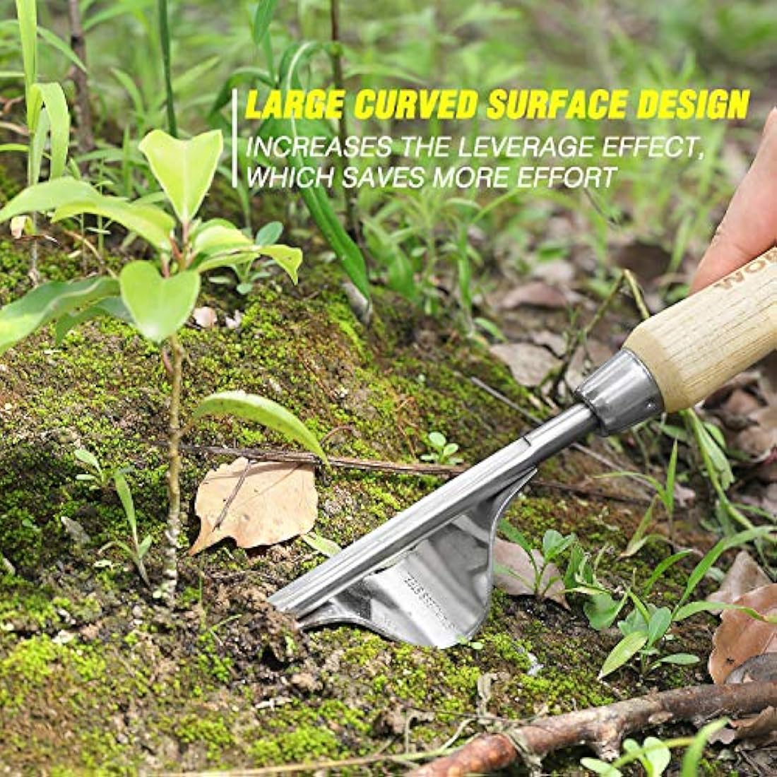WORKPRO 8-Piece Garden Tools Set, Stainless Steel Hand Tools with Wooden Handle, Including Gloves, Trowel, Weeder, Hand fork, Hand Rake, Transplanter, Pruner and Garden Tote