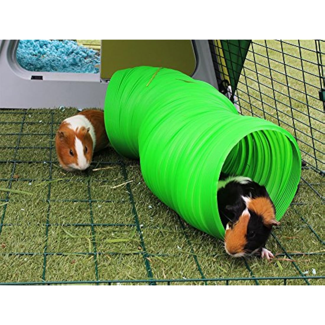 Snugglesafe All Weather Flexible Bunny Warren Fun Tunnel, green (Package may vary)