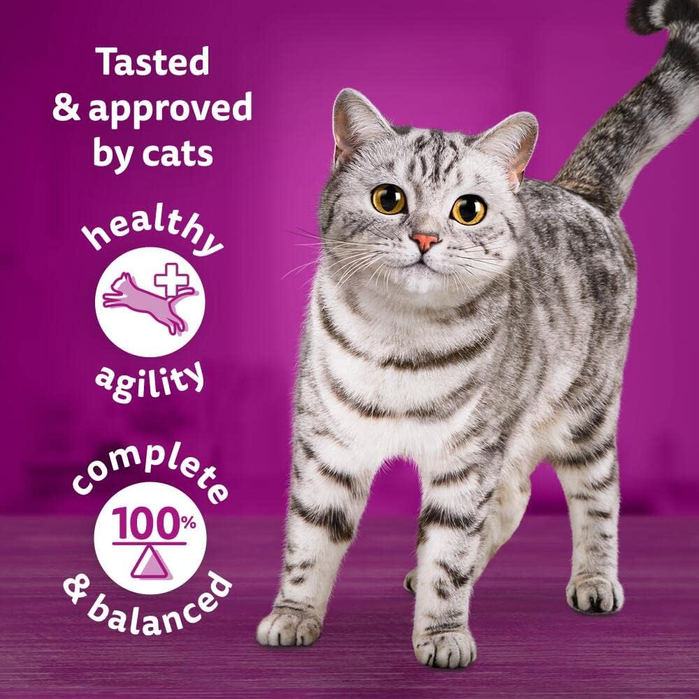 1+ Adult Tasty Mix in Gravy 84 Pouches, Adult Wet Cat Food, Country Collection, Megapack (84 x 85 g)