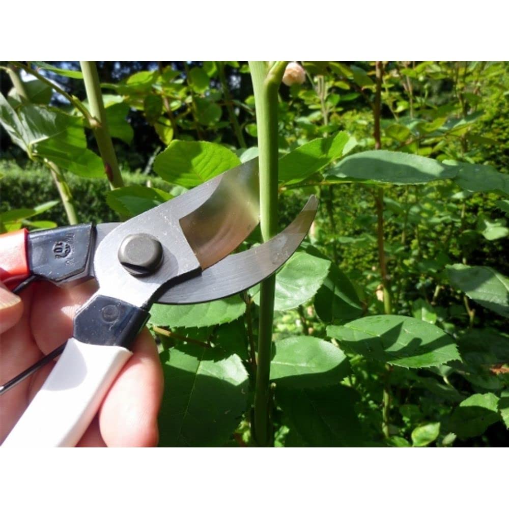 Okatsune Pruning Shears, 104 Gartenschere, gro?