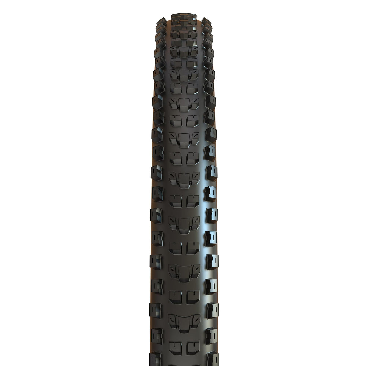 Maxxis Dissector 29 X 2.4 WT 60 TPI Folding Dual Compound EXO/TR,Black