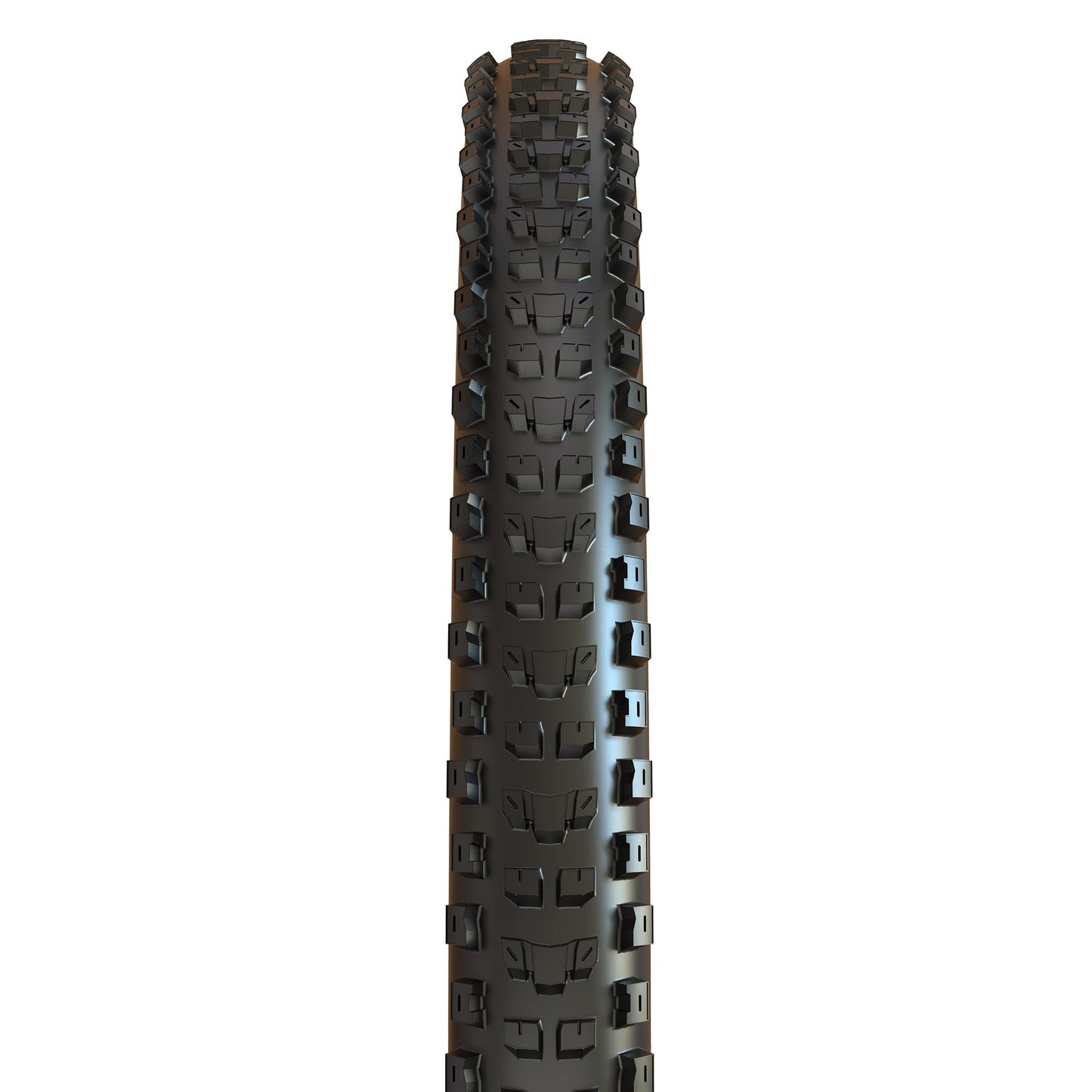 Maxxis Dissector Folding Dual Compound EXO/TR,Black,29 X 2.6 WT 60 TPI