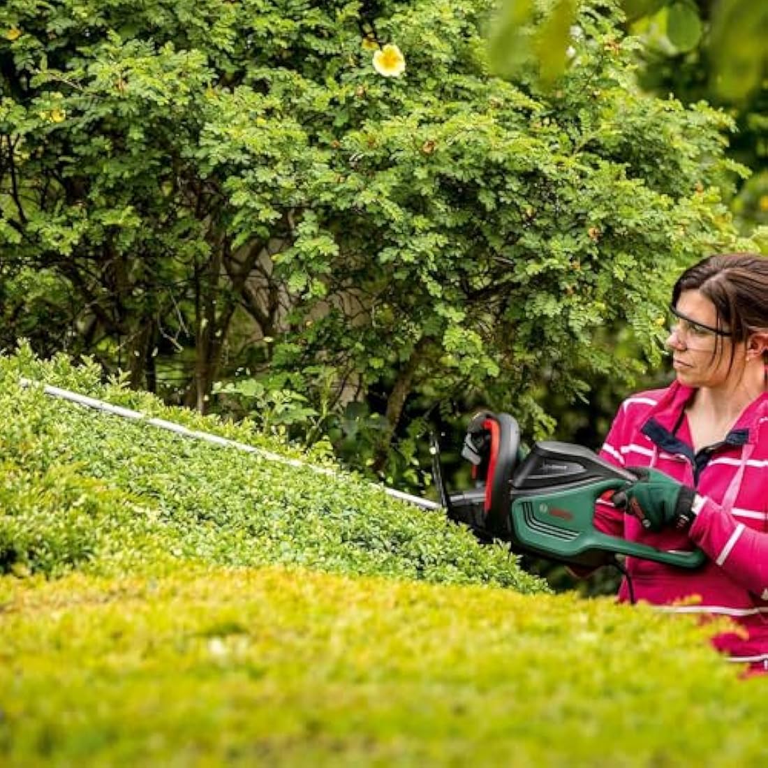 Bosch Trimmer AdvancedHedgeCut 65 (500 W, Blade Length: 65 cm, for Large Hedges, Tooth Opening: 34 mm, in Carton Packaging)