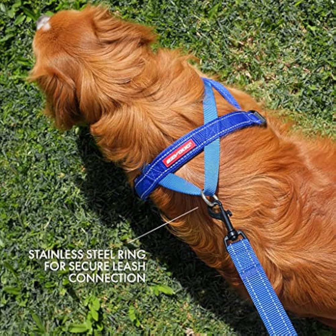 EZYDOG Quick Fit Dog Harness | Dog Harness, Reflective Stitching, Water Resistant Materials, No Pull (Corduroy, Black, Large)