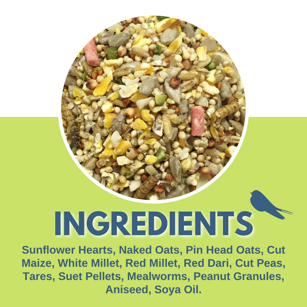 Pet Performance Garden Feast Wild Bird Seed Mix 20kg - All Year Round Wild Bird Feed With Mealworms & Suet Pellets - 100% Natural Nutritional Garden