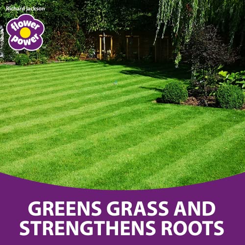 Richard Jackson Flower Power Premium Lawn Magic, Lawn Feed for Gardens, Greens the Grass & Strengthens the Roots (5L)