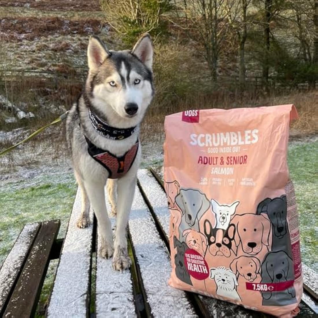 Scrumbles Natural Dry Dog Food, Grain Free Recipe with Fresh Salmon, for Adults and Senior Breeds, 7.5 kg Bag