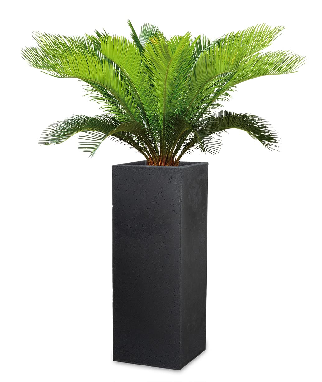 Scheurich Planter, Stony Black, 26 x 26 x 70 cm