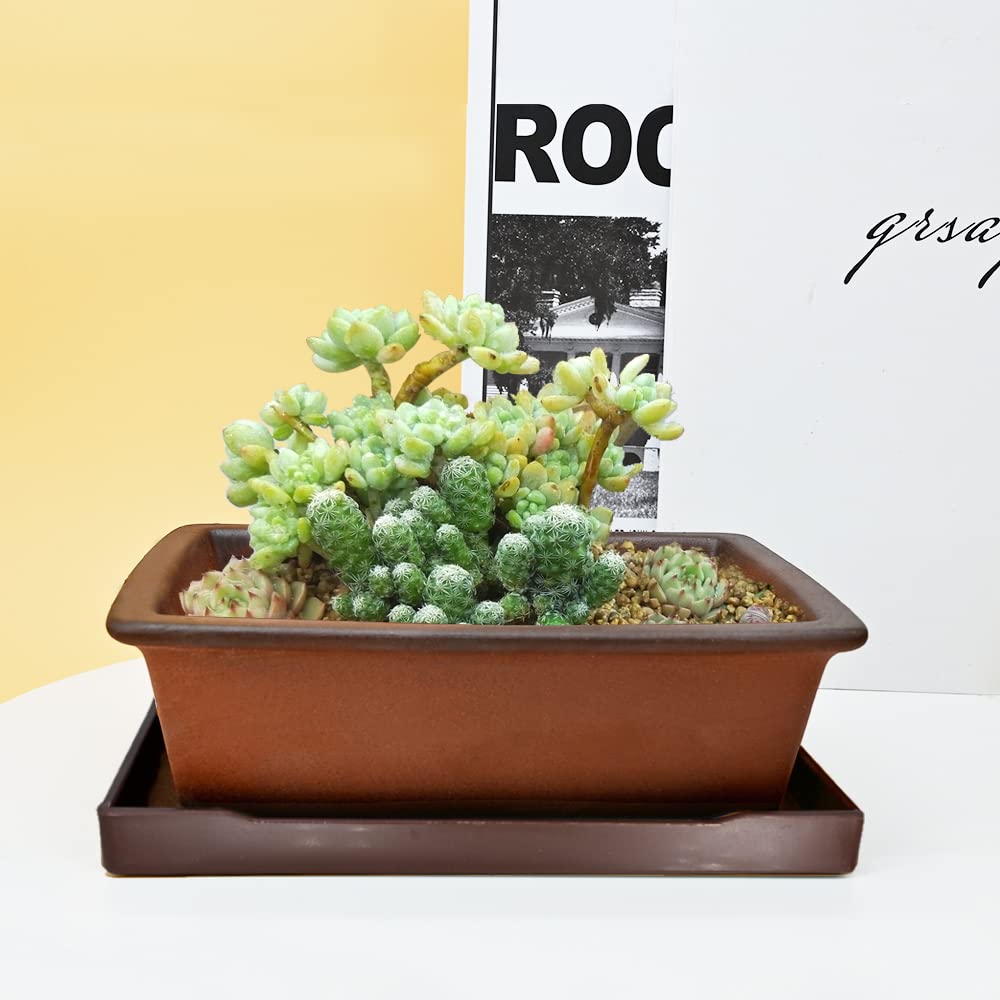 MUZHI Decorative Ceramic Bonsai Planter Pot 8.5 Inch with Tray, Breathable Unglazed Rectangle Terracotta Clay Pot for Tree Succulent Cactus Indoor
