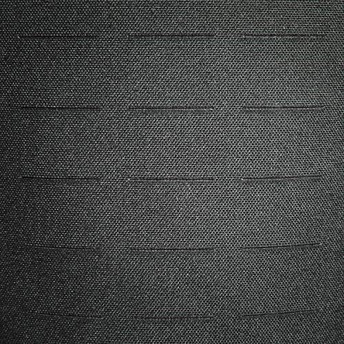 Tasmanian Tiger TT Modular Daypack L Molle-kompatibler, Ergonomischer Tages-Rucksack mit Kompressionsriemen, 18 Liter Volumen
