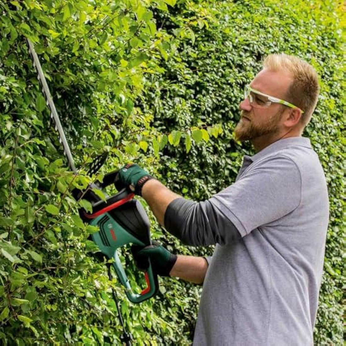 Bosch Trimmer AdvancedHedgeCut 65 (500 W, Blade Length: 65 cm, for Large Hedges, Tooth Opening: 34 mm, in Carton Packaging)