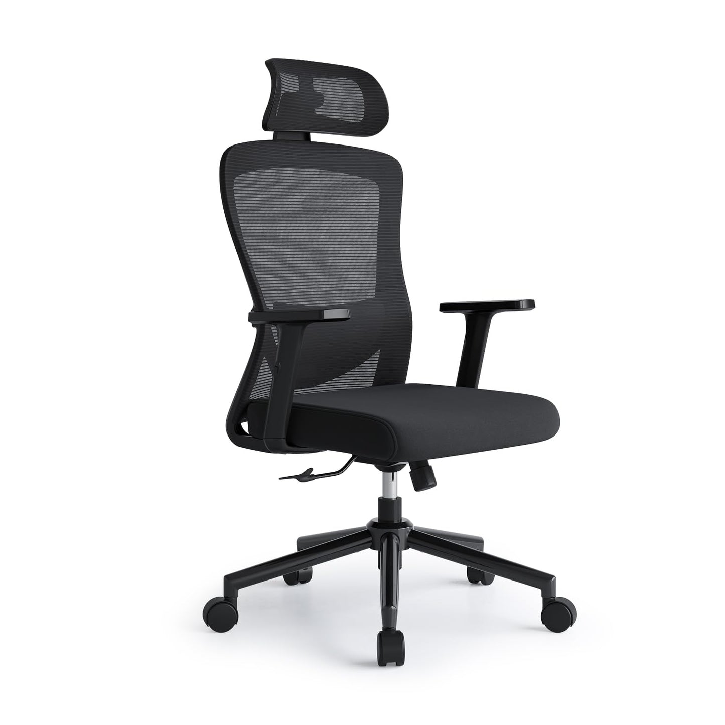 Eucladoceros Office Chair,Ergonomic Desk Chairs with Adjustable Lumbar Support,2D Headrest & Armrest 120° Rocking High Back Mesh Office Chairs for